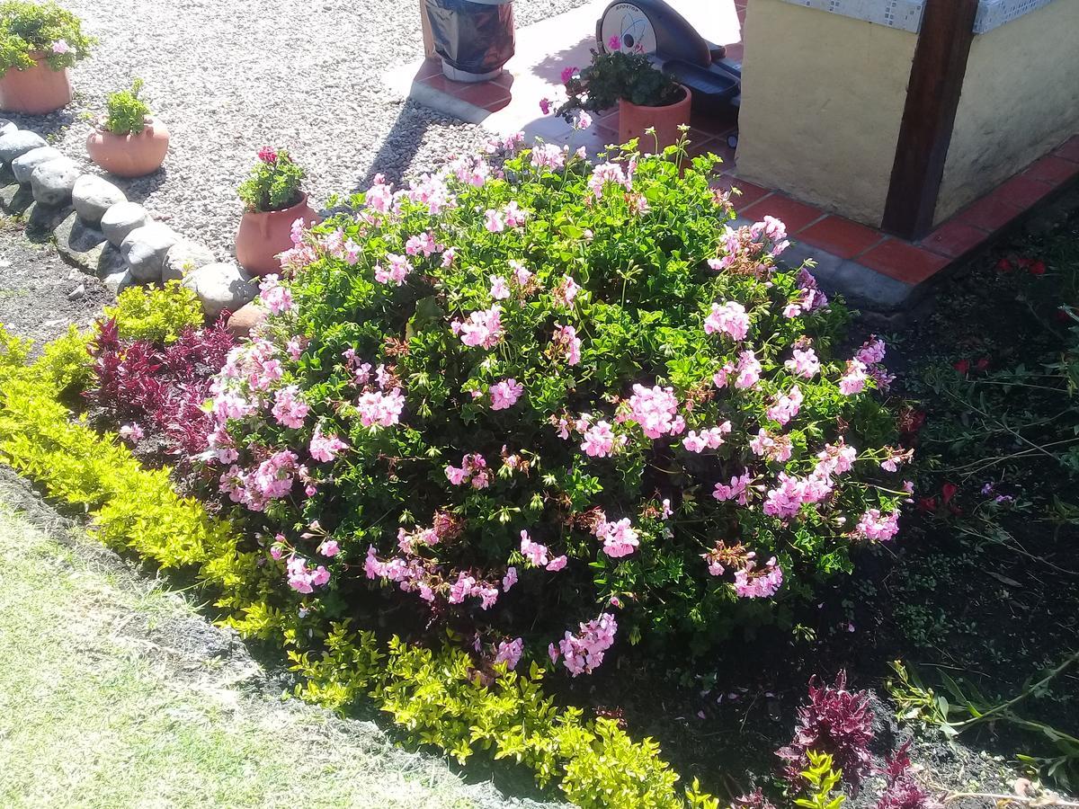 טביו Hotel Campestre Franchesca מראה חיצוני תמונה